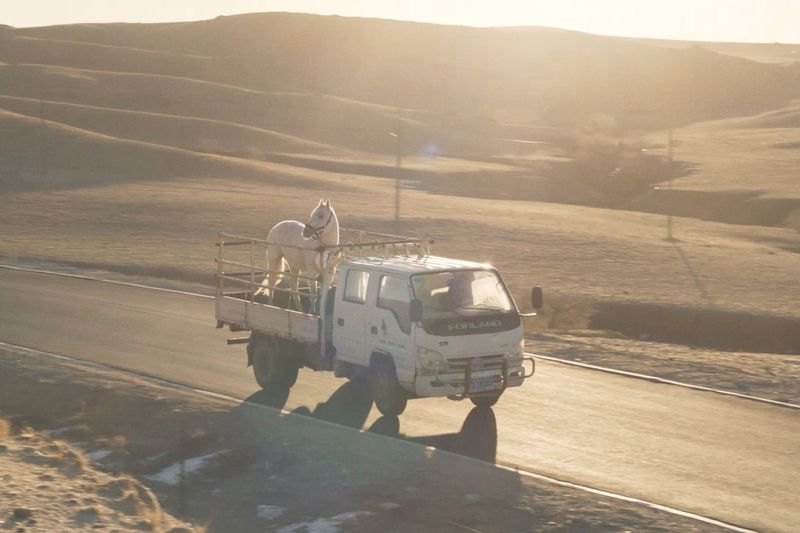 „To Kill a Mongolian Horse“, Regie: Xiaoxuan Jiang, 2024, ©Pluto Film Distribution